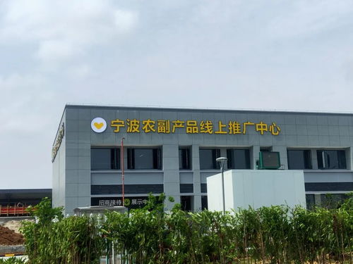 寧波農副產品物流中心一期試運營開啟 農產品流通新樞紐，便捷交通指南助您暢行