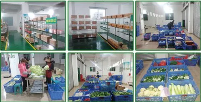 煜鮮農副產品配送 從田間到餐桌，守護您的每一餐新鮮